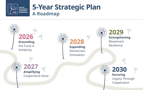 Overview FICD 5-year Strategic Plan